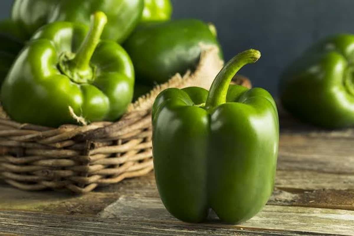 فلفل دلمه سبز انتخاب هوشمندانه برای انواع آشپزی